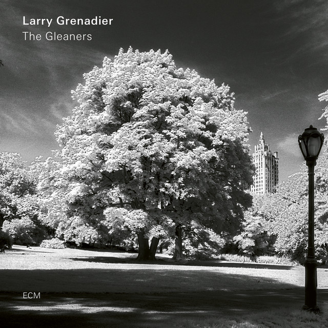 The Gleaners album cover