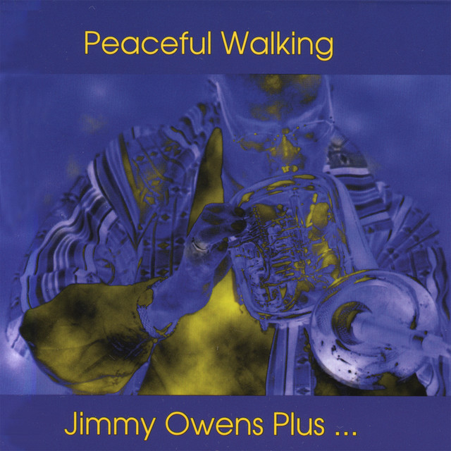 Peaceful Walking album cover