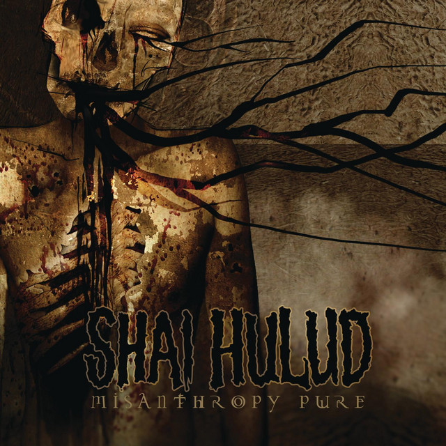 Misanthropy Pure album cover