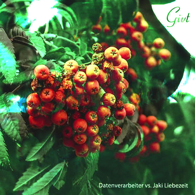 Givt album cover