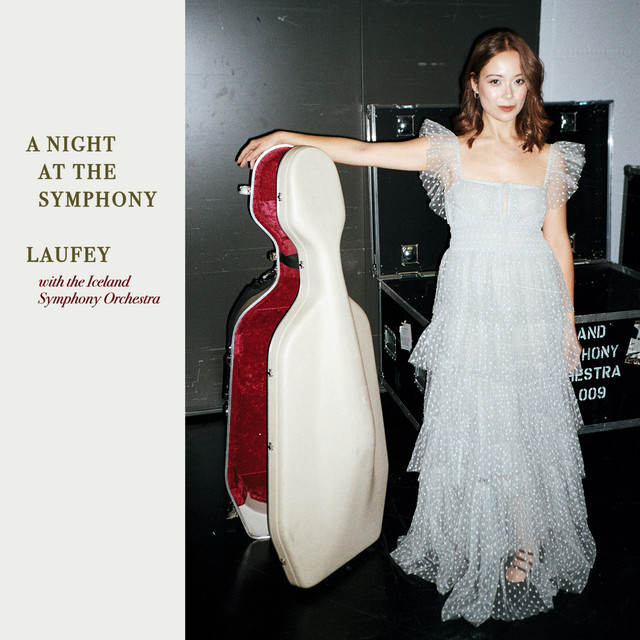 A Night At The Symphony album cover