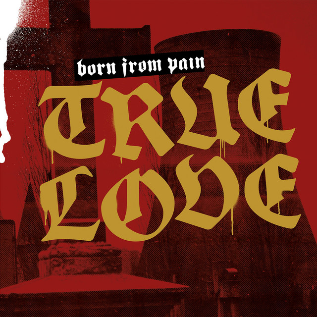True Love album cover