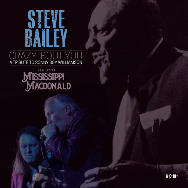 Crazy 'Bout You : A Tribute to Sonny Boy Williamson album cover