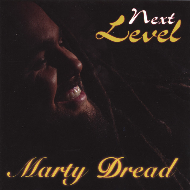 Next Level album cover