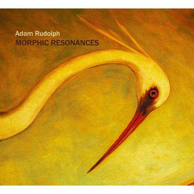 Morphic Resonances