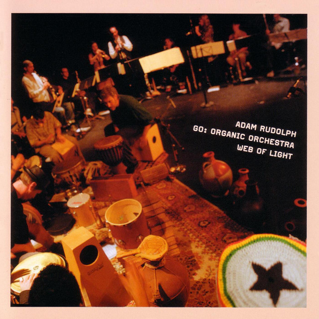 Go: Organic Orchestra Web of Light album cover