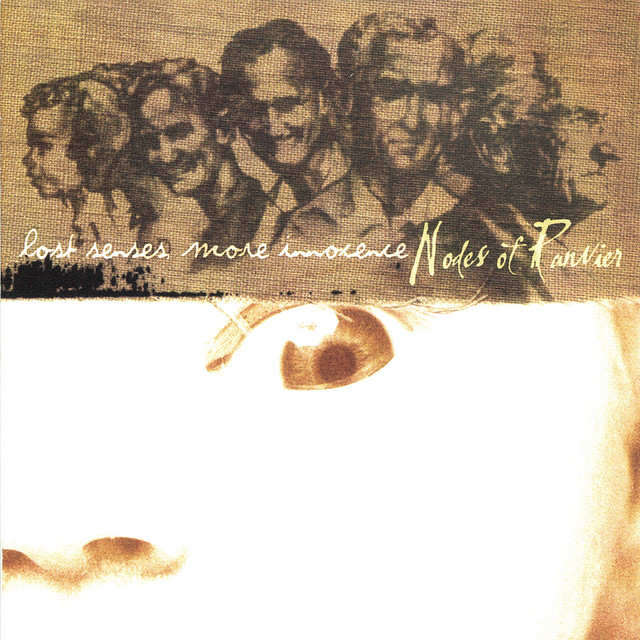 Lost Senses, More Innocence album cover