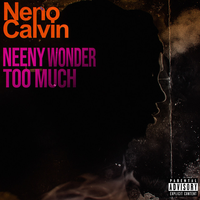 Neeny Wonder Too Much album cover