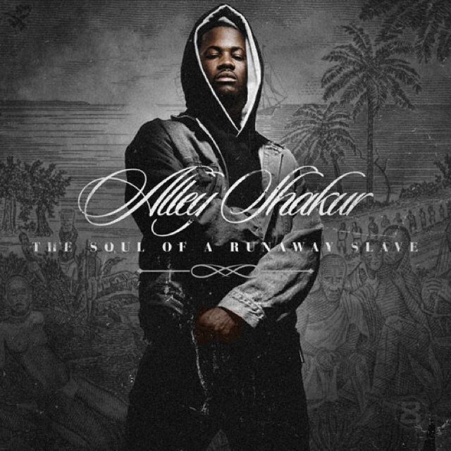 Alley Shakur (The Soul Of A Runaway Slave) album cover