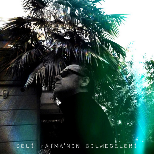 Deli Fatma'nin Bilmeceleri album cover