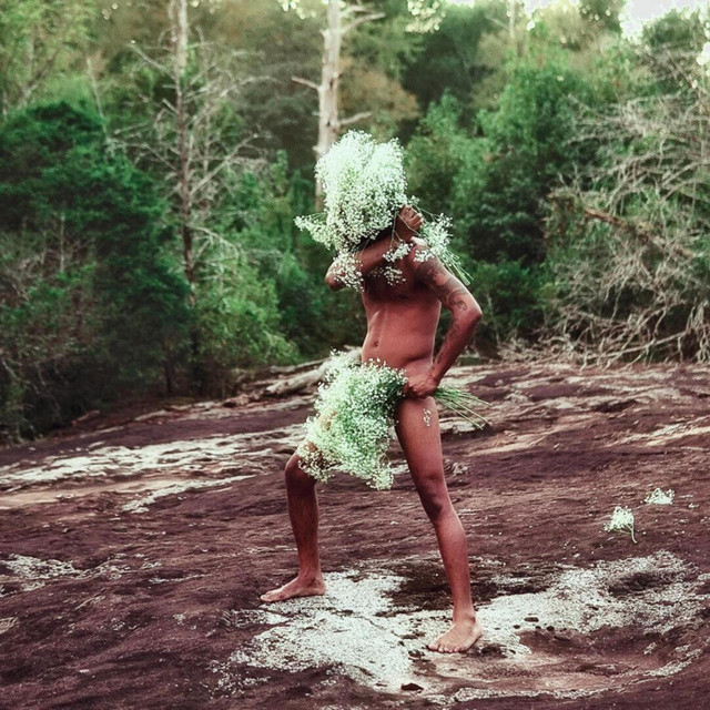 Southern Mystic album cover