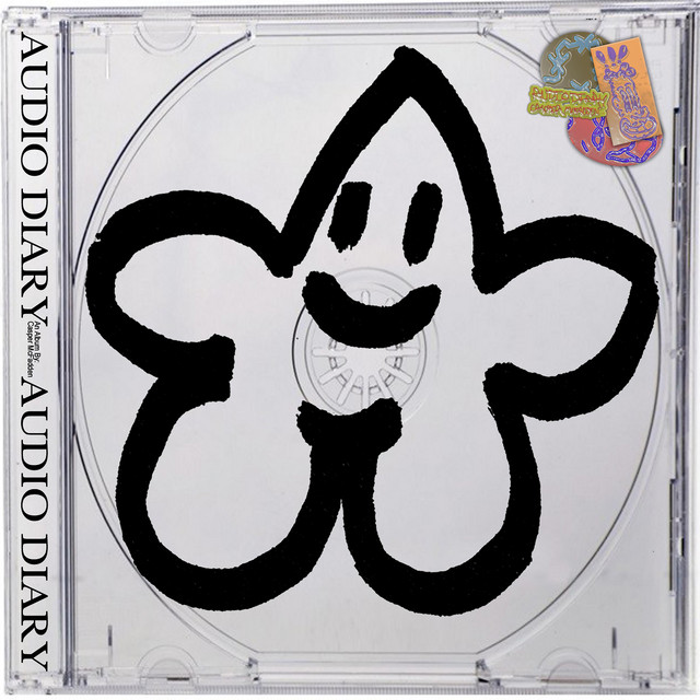 Audio Diary album cover