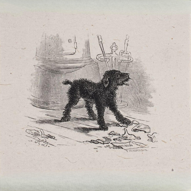 Black Hound album cover
