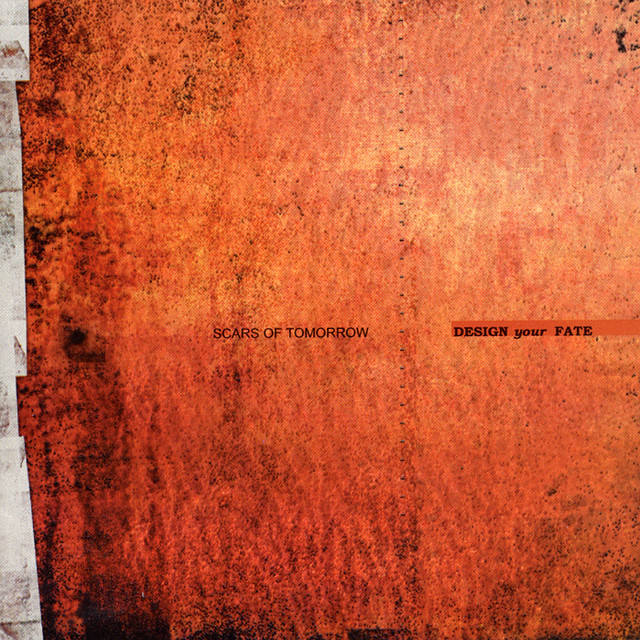 Design Your Fate album cover