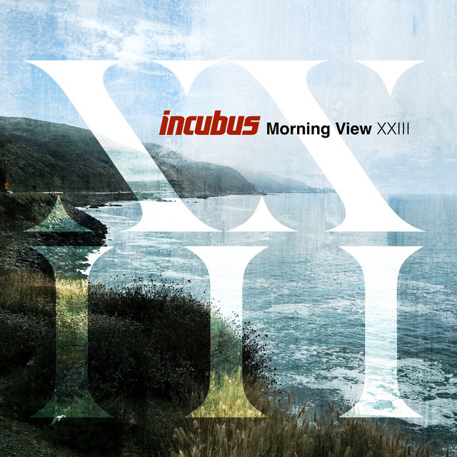 Morning View XXIII album cover