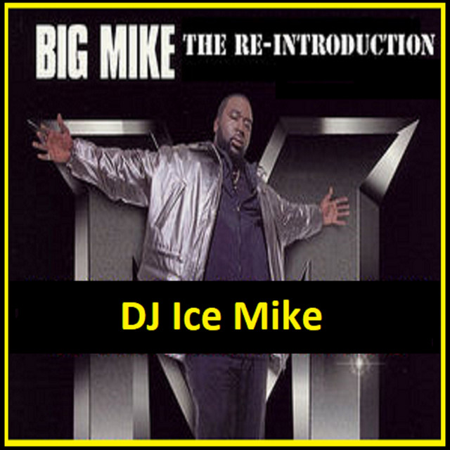 The Re-Introduction album cover