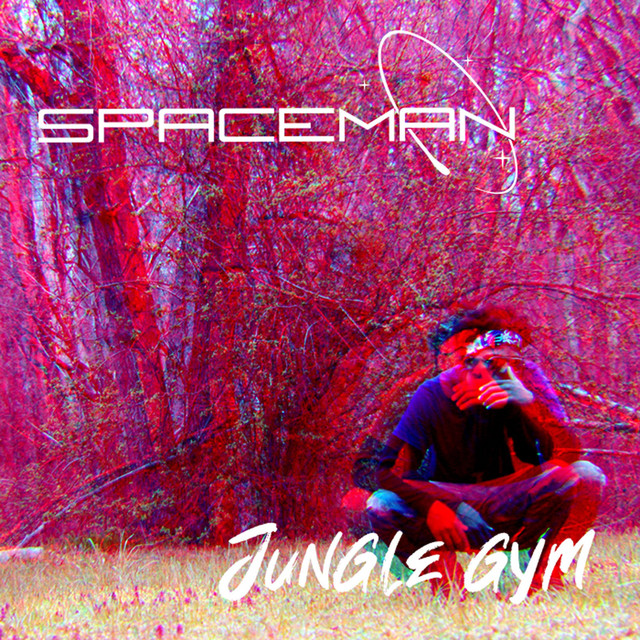 Jungle Gym album cover