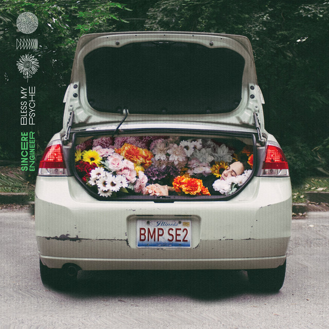 Bless My Psyche album cover