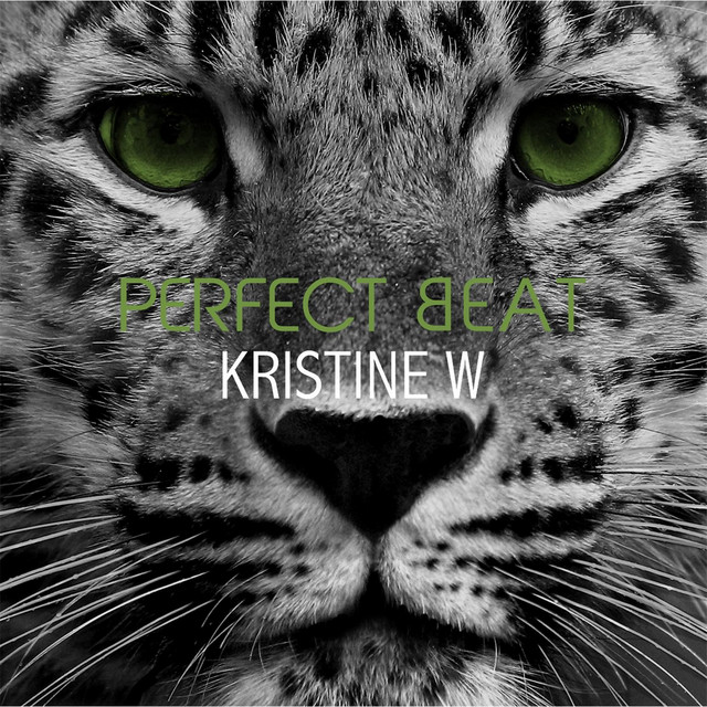 Perfect Beat album cover