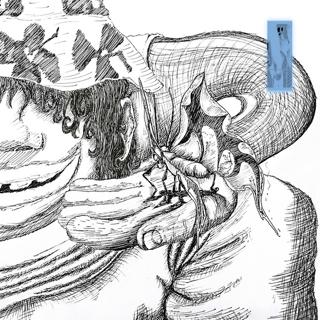 Rogue Intruder, Soul Enhancer album cover