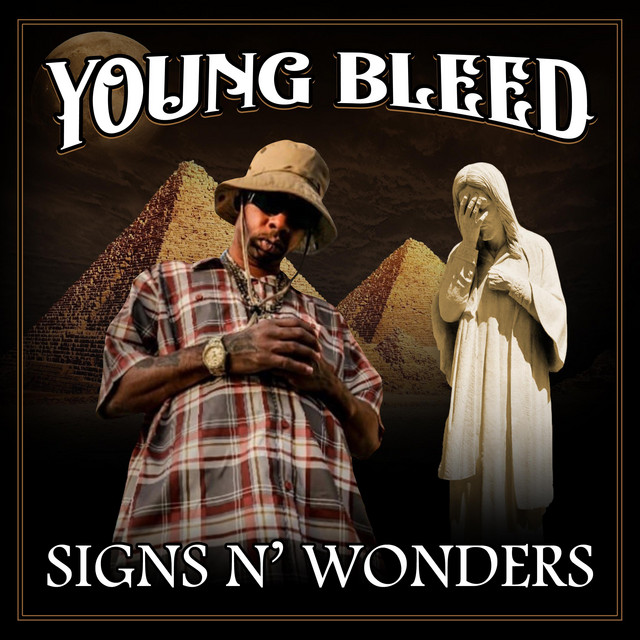 Signs N' Wonders album cover