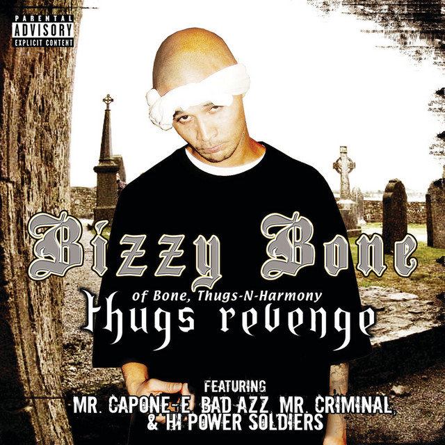 Thugs Revenge album cover