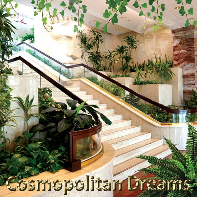 cosmopolitan dreams album cover