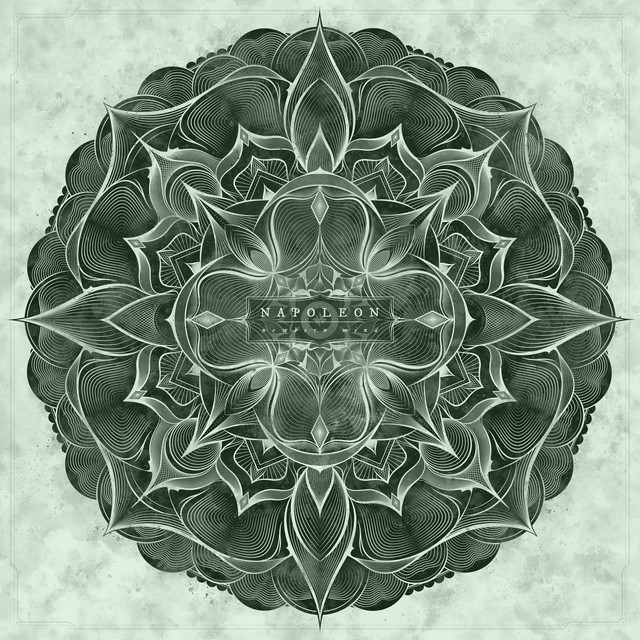 Newborn Mind album cover
