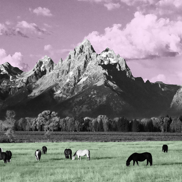 Yellowstone album cover