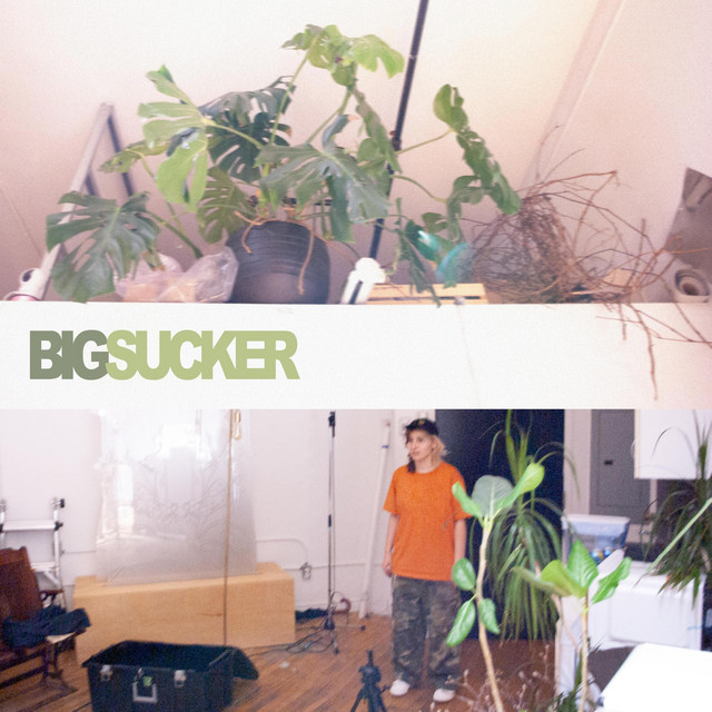 BIG SUCKER album cover
