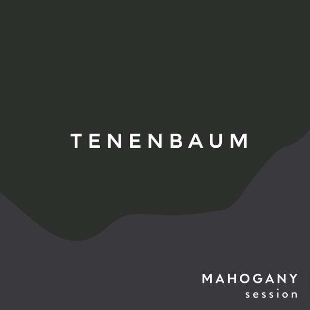 Martin 000-15SM as heard on Tenenbaum (Mahogany Sessions) by The Paper Kites (2018)