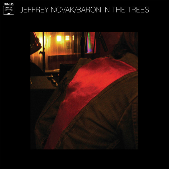 Baron in the Trees album cover