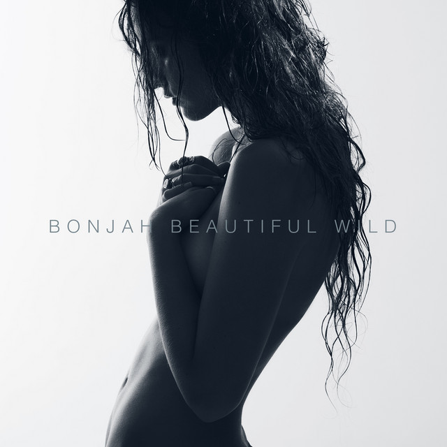 Beautiful Wild album cover