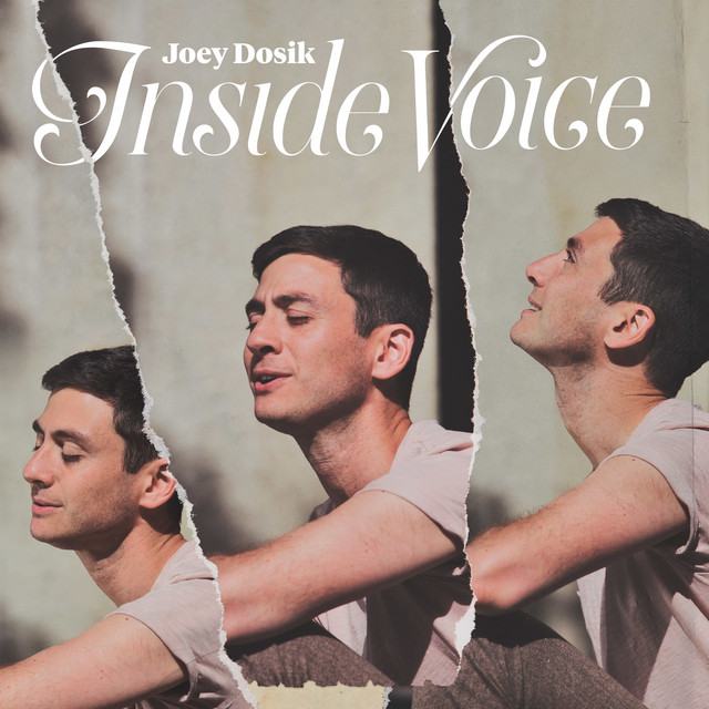 Inside Voice album cover