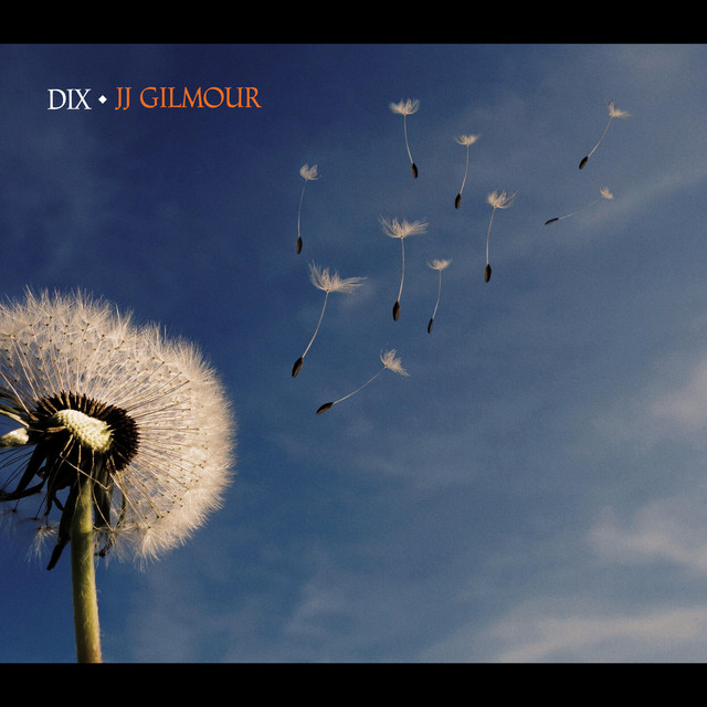DIX album cover