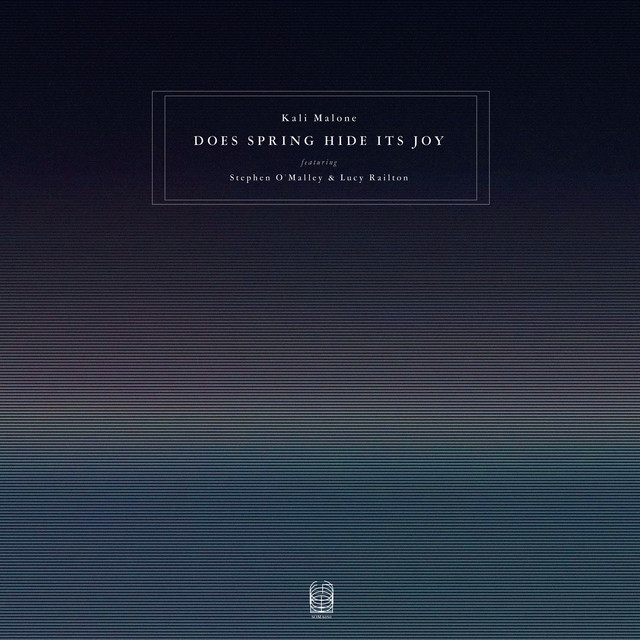 Does Spring Hide Its Joy album cover