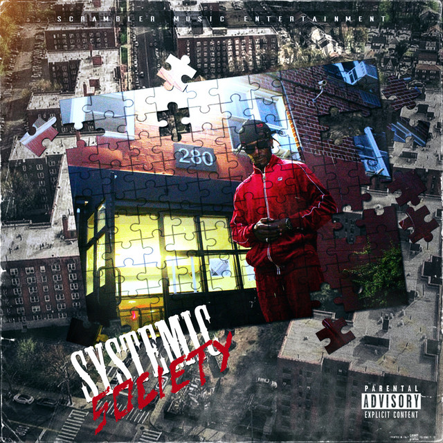 Systemic Society album cover