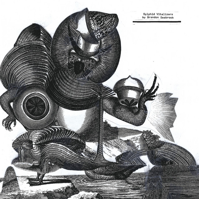 Sylphid Vitalizers album cover