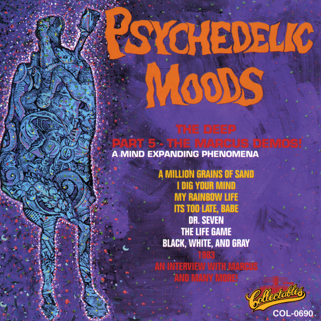 Psychedelic Moods album cover