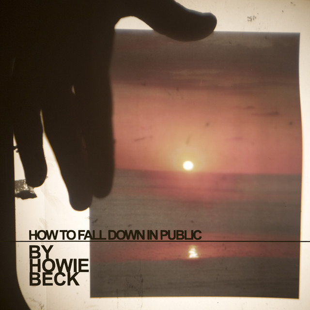How to Fall Down in Public album cover