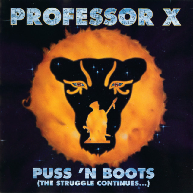 Puss 'N Boots (The Struggle Continues...) album cover