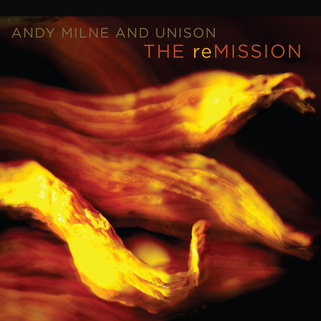 The reMISSION album cover