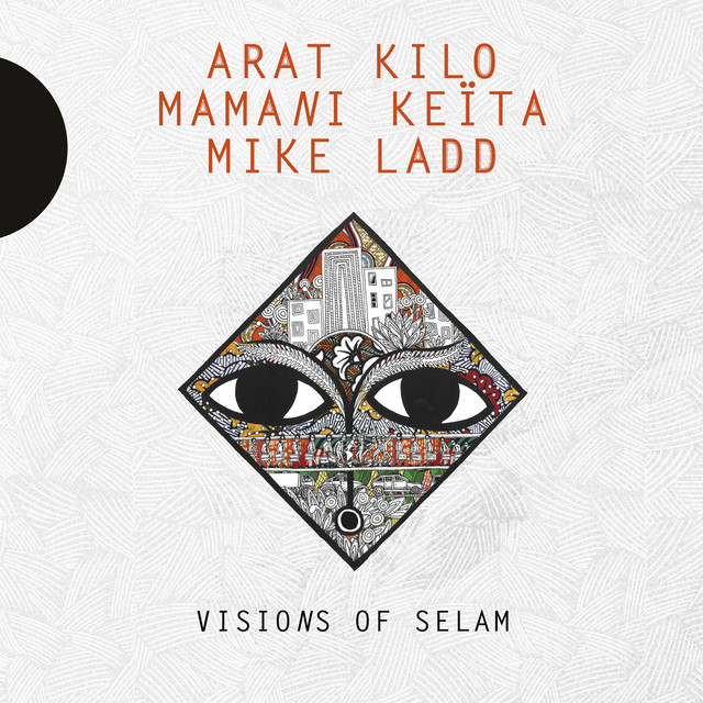 Visions of Selam album cover