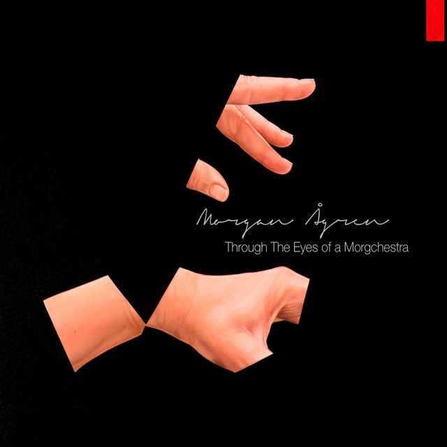 Through the Eyes of a Morgchestra album cover