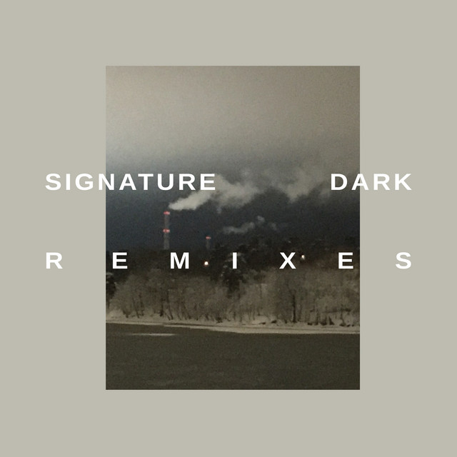 Signature Dark Remixes album cover