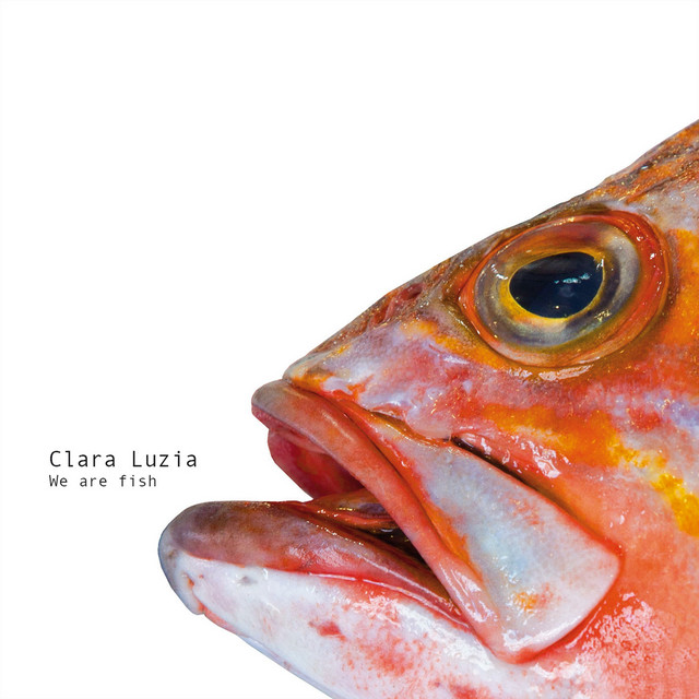 We Are Fish album cover
