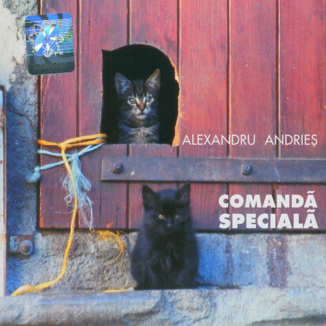 Epiphone Casino as heard on Comanda speciala by Alexandru Andrieș (2005)