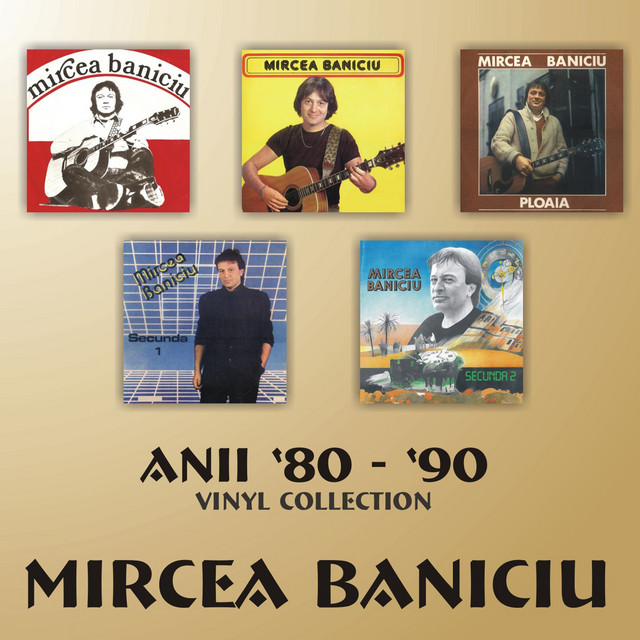 Anii 80-90 - Vinyl Collection ('80s -'90s - Vinyl Collection) album cover