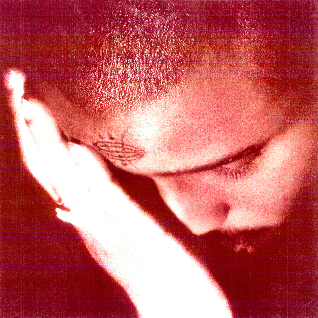 The Passionate Ones album cover