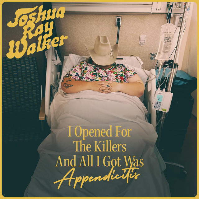 I Opened For The Killers And All I Got Was Appendicitis (Live) album cover